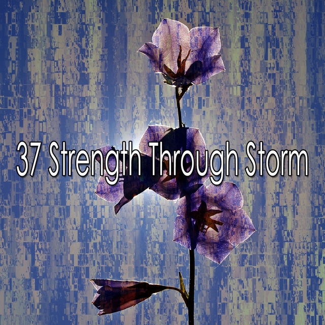 37 Strength Through Storm