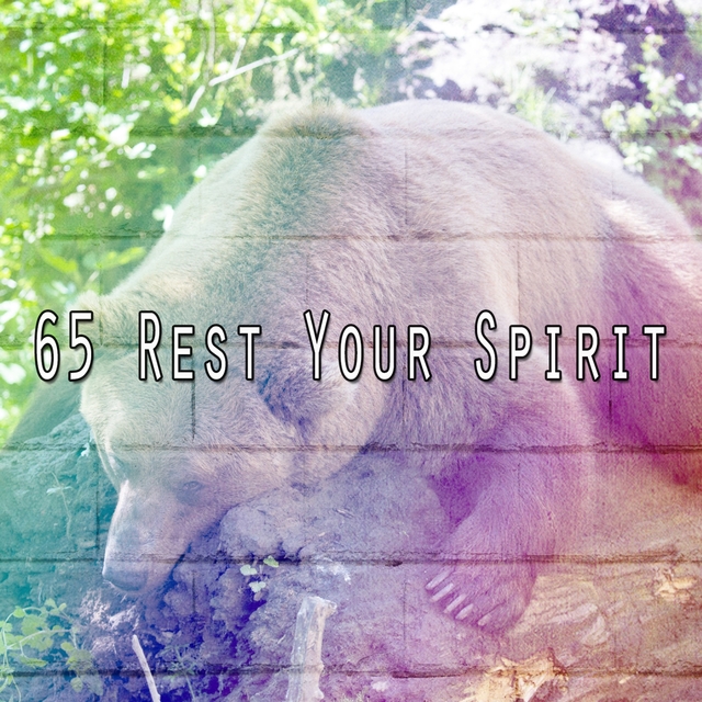 65 Rest Your Spirit