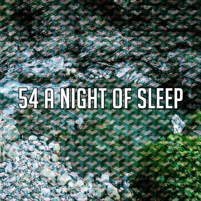 54 A Night of Sleep
