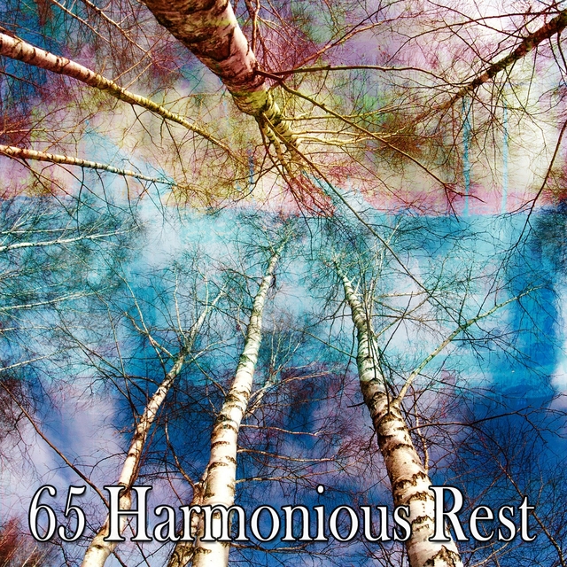 65 Harmonious Rest