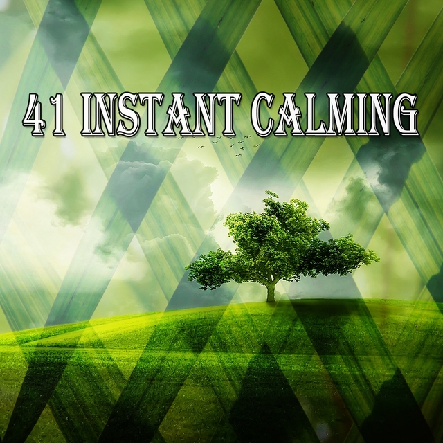 41 Instant Calming