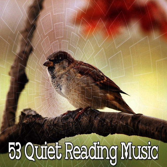 Couverture de 53 Quiet Reading Music