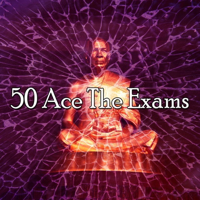 Couverture de 50 Ace the Exams