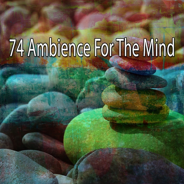 Couverture de 74 Ambience for the Mind