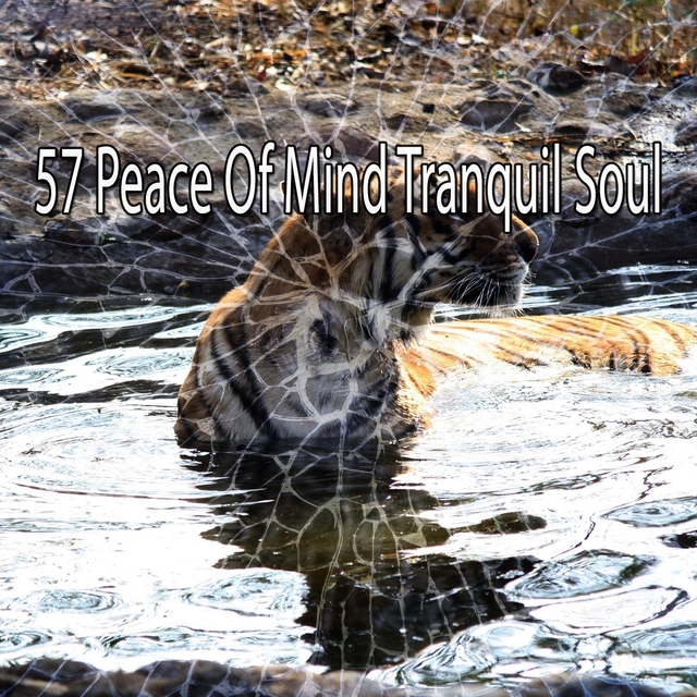 57 Peace of Mind Tranquil Soul