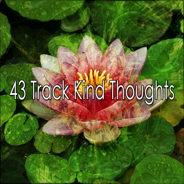Couverture de 43 Track Kind Thoughts