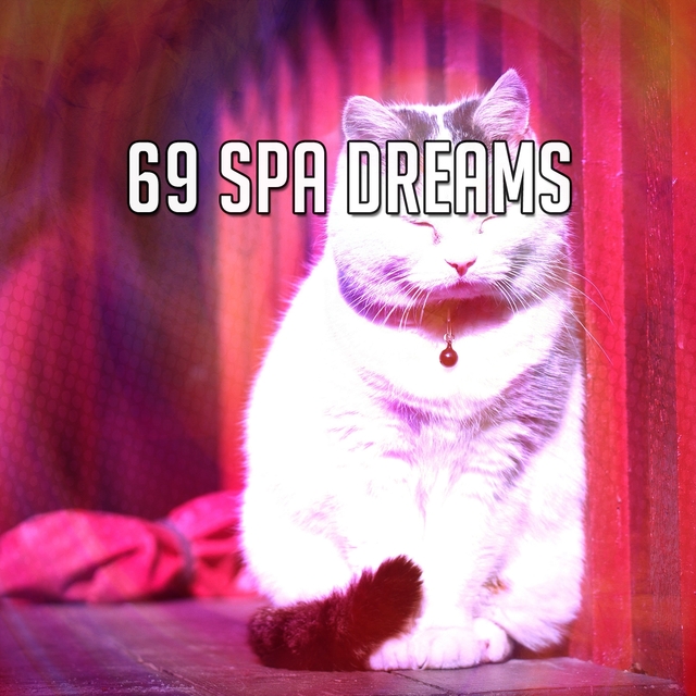 69 Spa Dreams