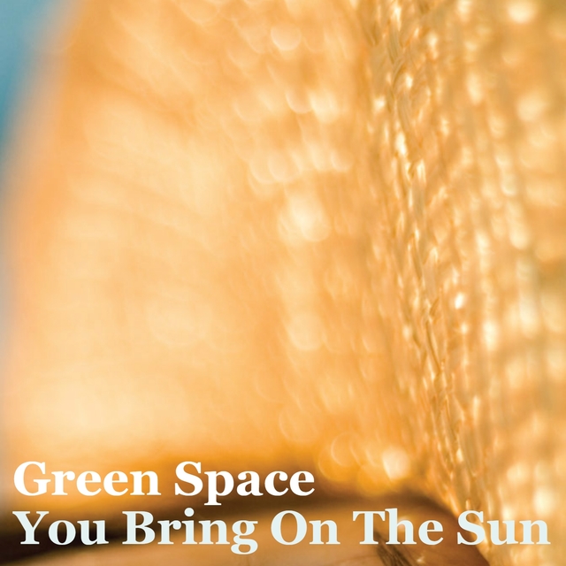 Couverture de You Bring On The Sun