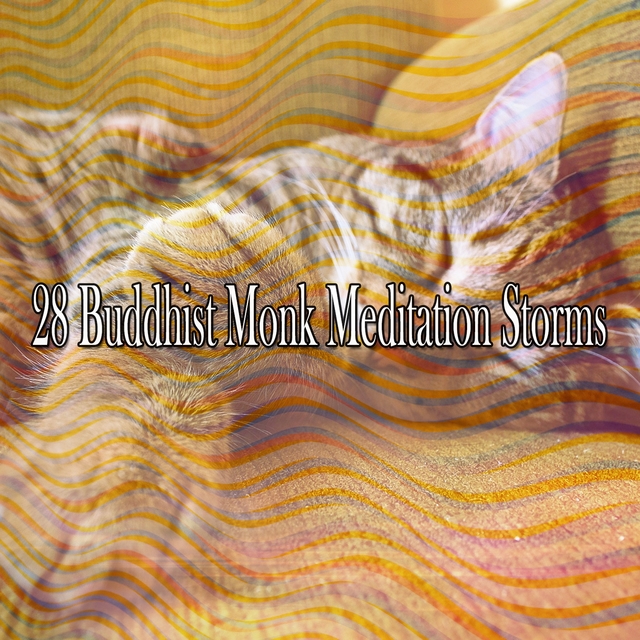 28 Buddhist Monk Meditation Storms