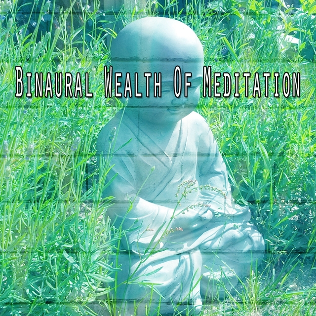 Binaural Wealth of Meditation