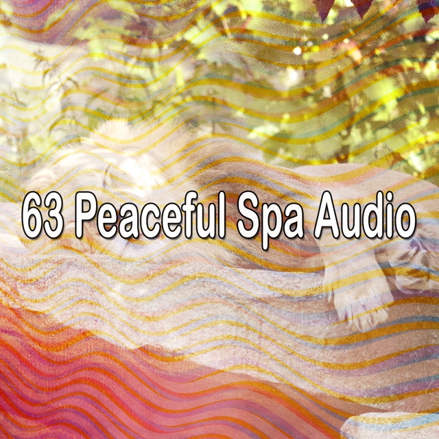 63 Peaceful Spa Audio