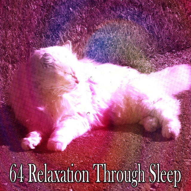 64 Relaxation Through Sleep