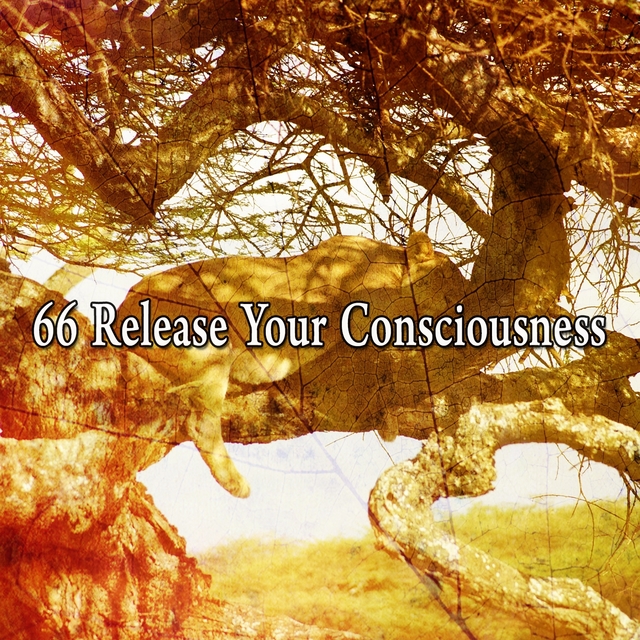 66 Release Your Consciousness