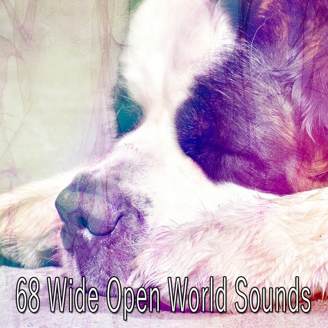 68 Wide Open World Sounds