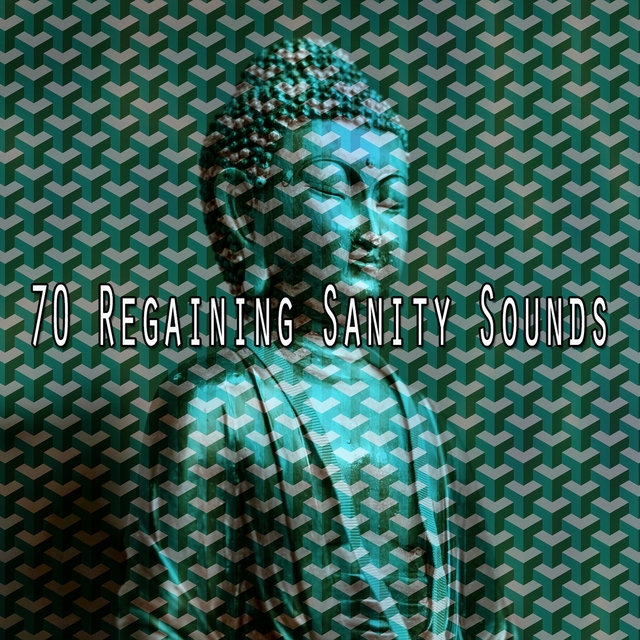 70 Regaining Sanity Sounds