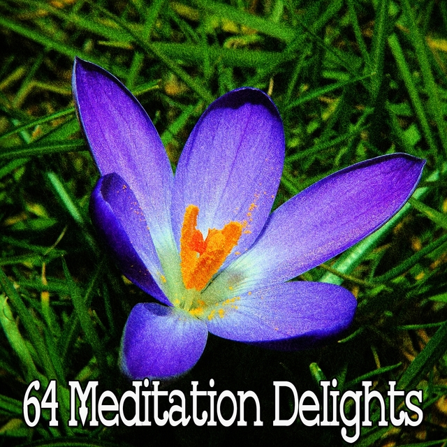 Couverture de 64 Meditation Delights