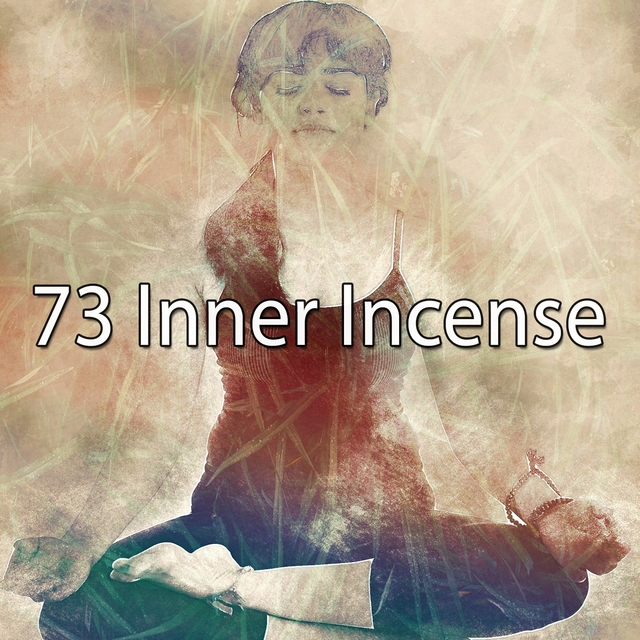 Couverture de 73 Inner Incense