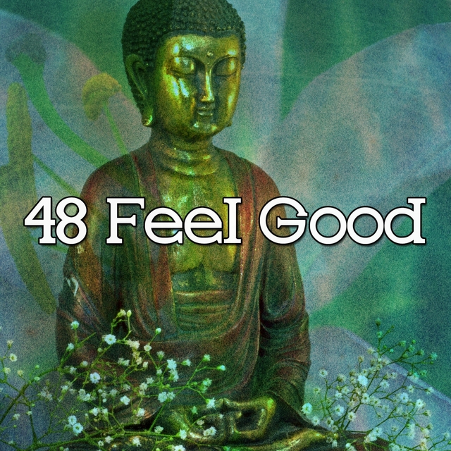 Couverture de 48 Feel Good