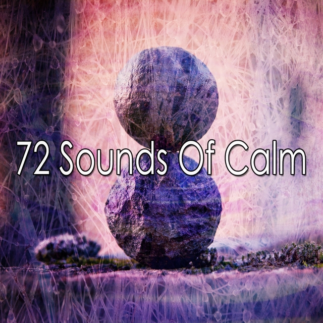 Couverture de 72 Sounds of Calm