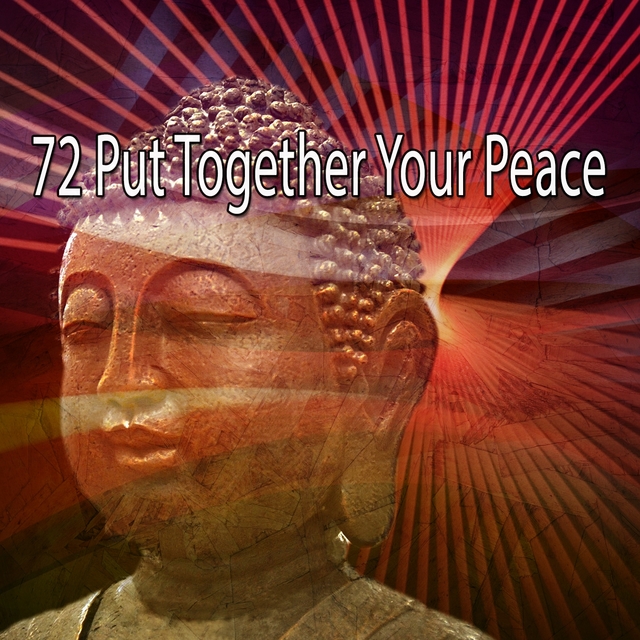 Couverture de 72 Put Together Your Peace