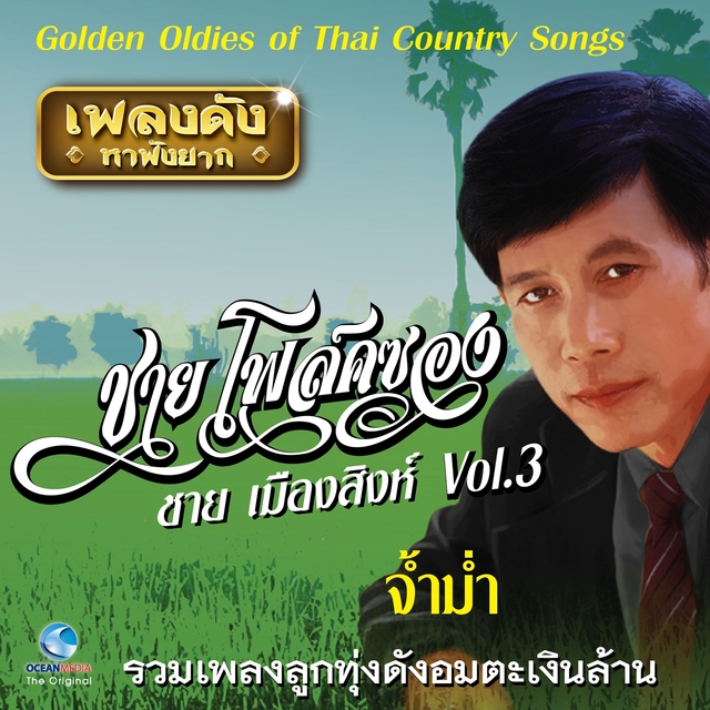 เพลงดังหาฟังยาก "ชาย โฟล์คซอง", Vol. 3