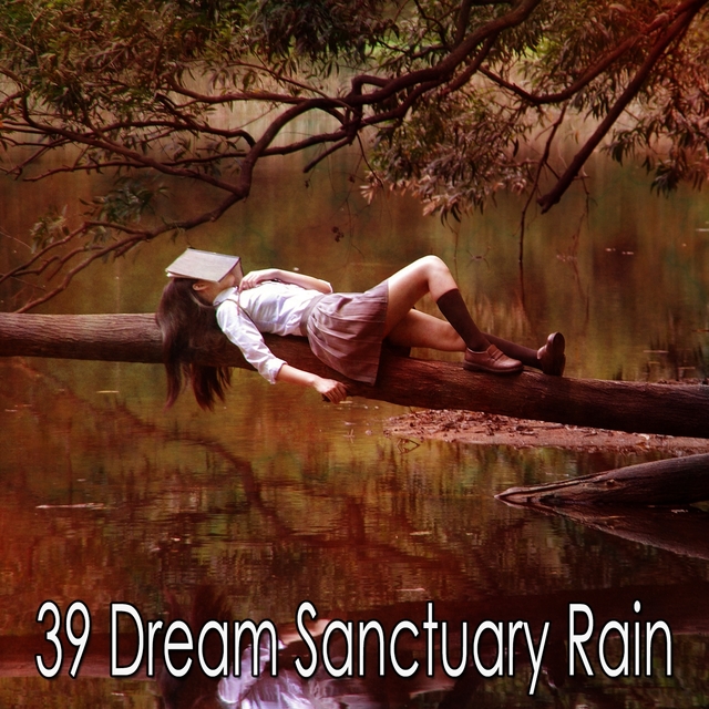 39 Dream Sanctuary Rain
