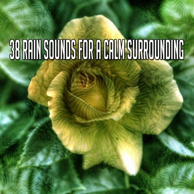 38 Rain Sounds for a Calm Surrounding