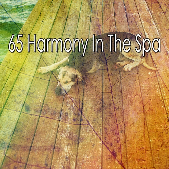 65 Harmony in the Spa