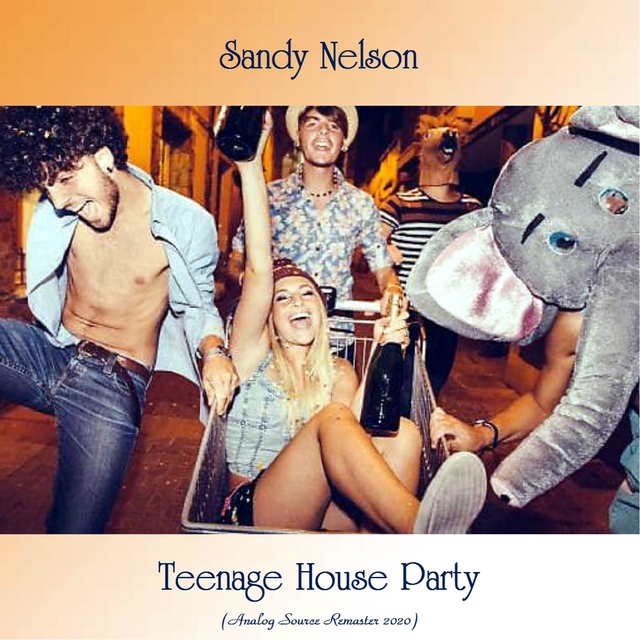 Couverture de Teenage House Party