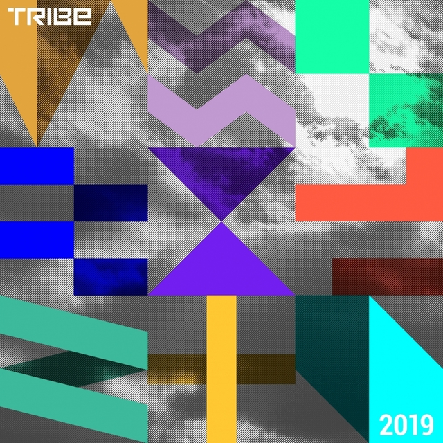 Couverture de Best of Tribe 2019