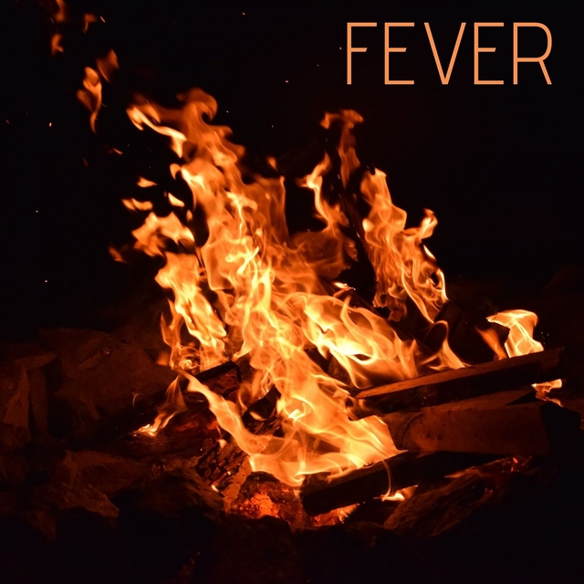 Couverture de Fever