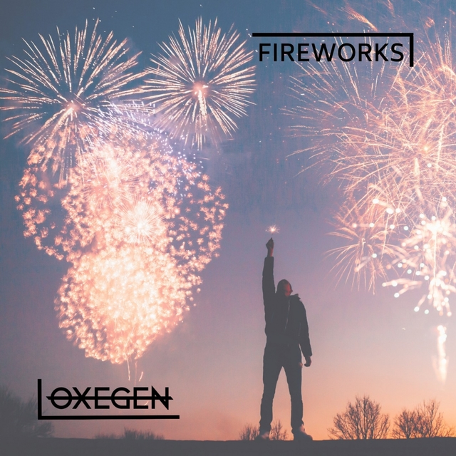 Couverture de Fireworks