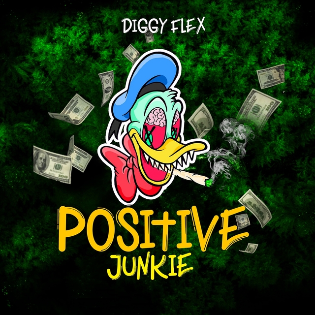 Couverture de Positive Junkie