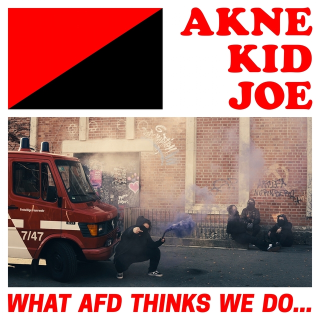 What AfD thinks we do...