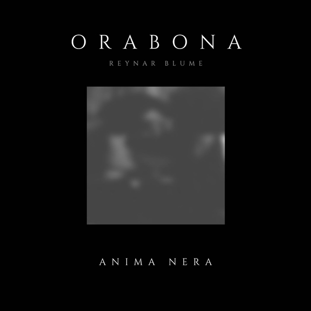 Couverture de Anima nera