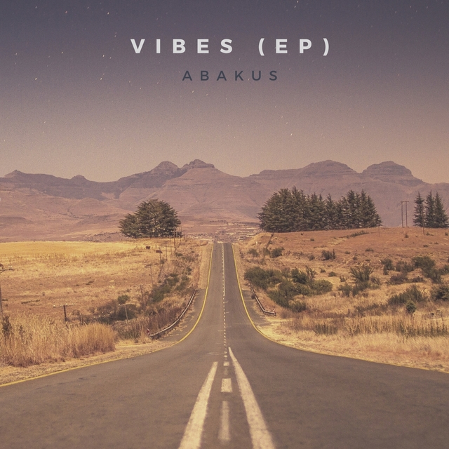 Vibes - EP