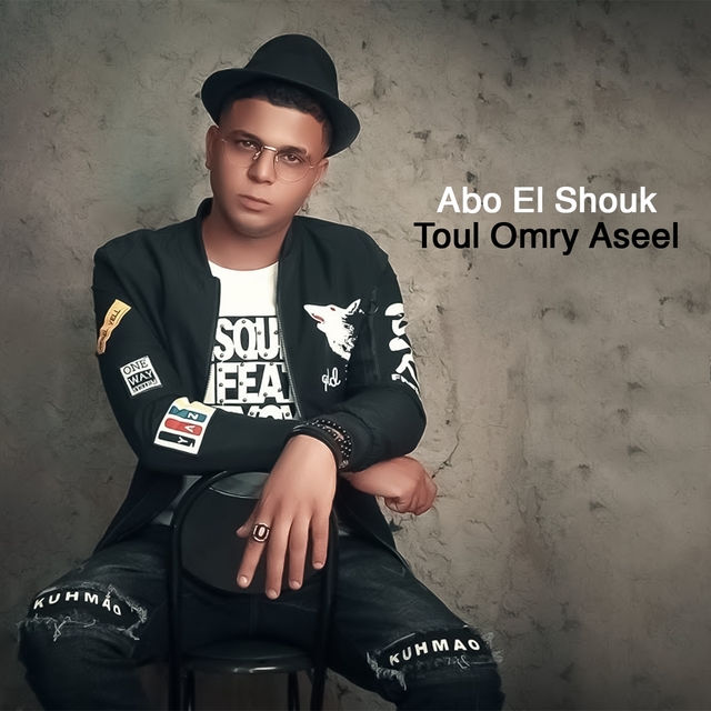 Couverture de Toul Omry Aseel