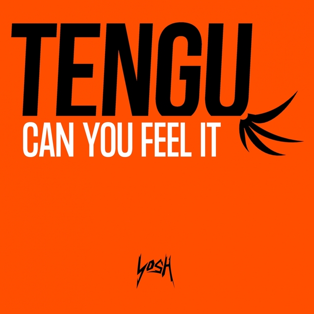 Couverture de Can You Feel It