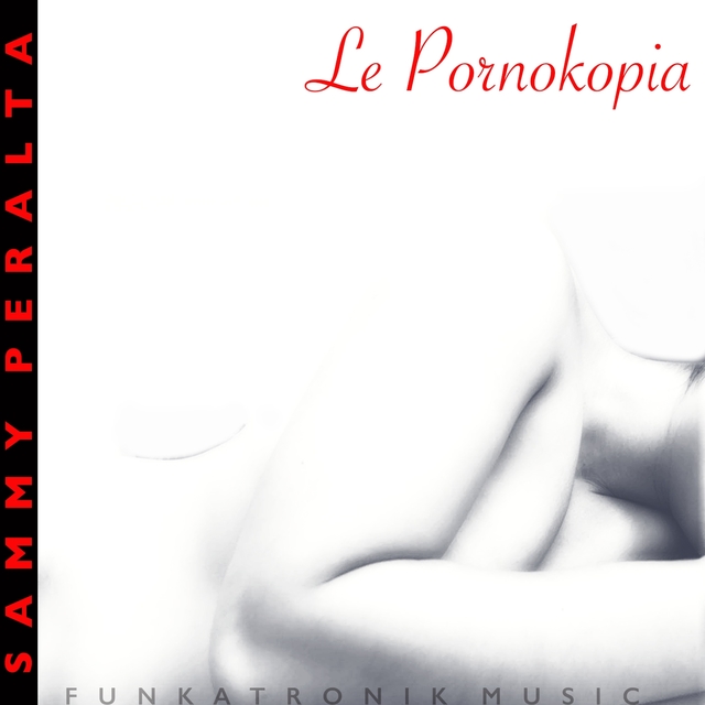 Couverture de Le pornokopia