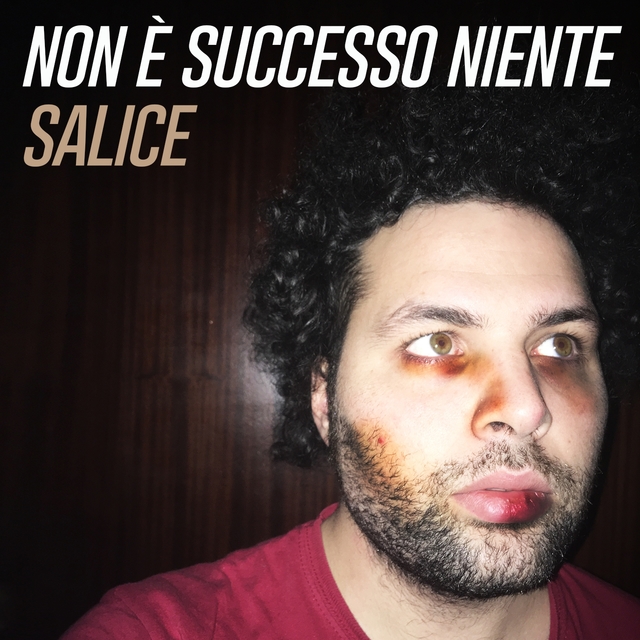 Couverture de Non è successo niente