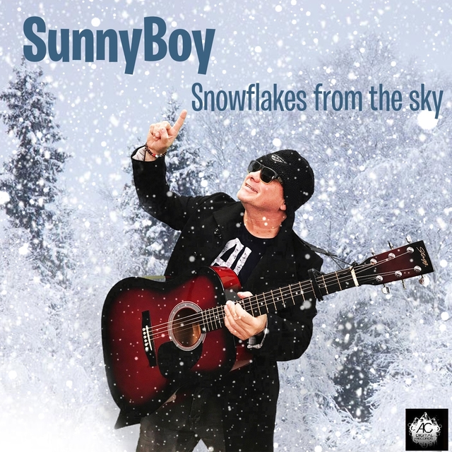 Couverture de Snowflakes from the Sky