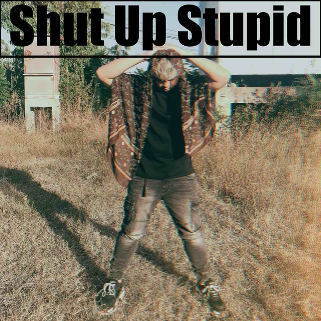Shut Up Stupid