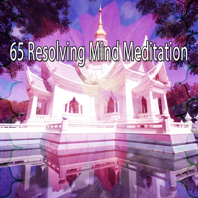 Couverture de 65 Resolving Mind Meditation