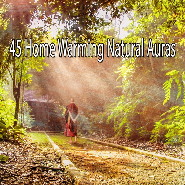 45 Home Warming Natural Auras