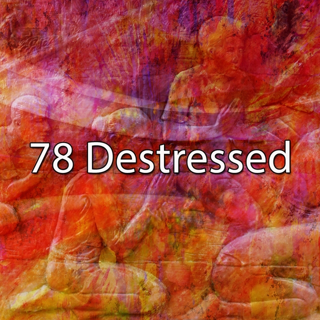 Couverture de 78 Destressed