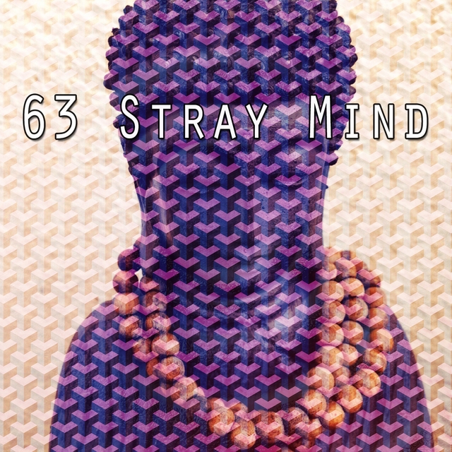 63 Stray Mind