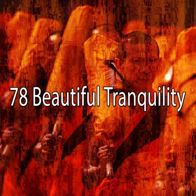 Couverture de 78 Beautiful Tranquility