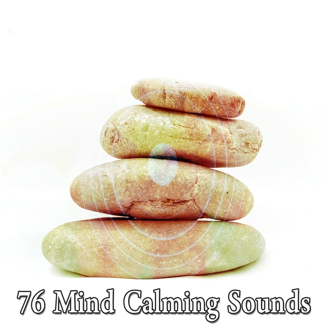 76 Mind Calming Sounds
