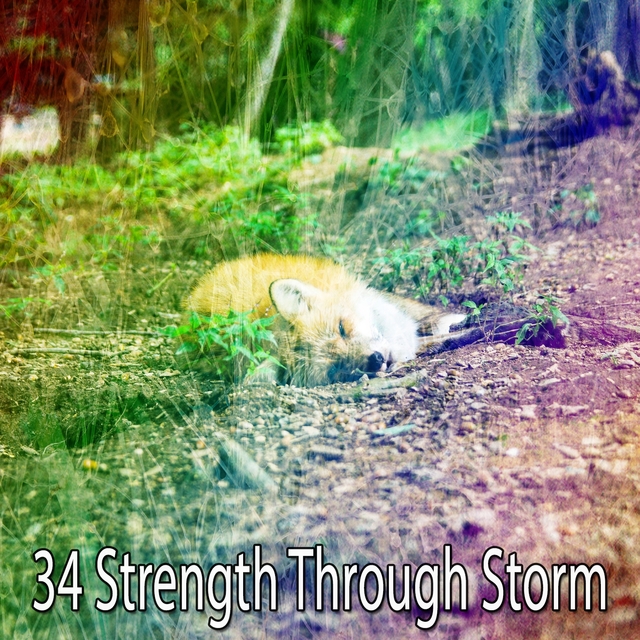34 Strength Through Storm
