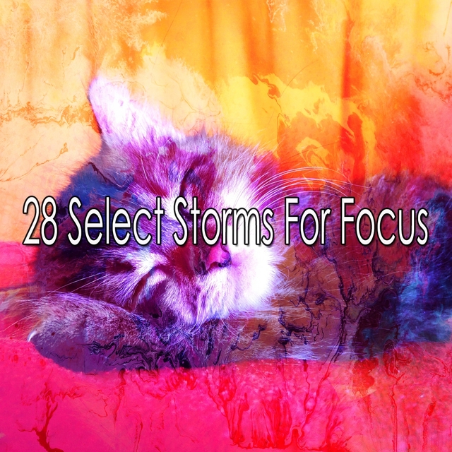 28 Select Storms for Focus